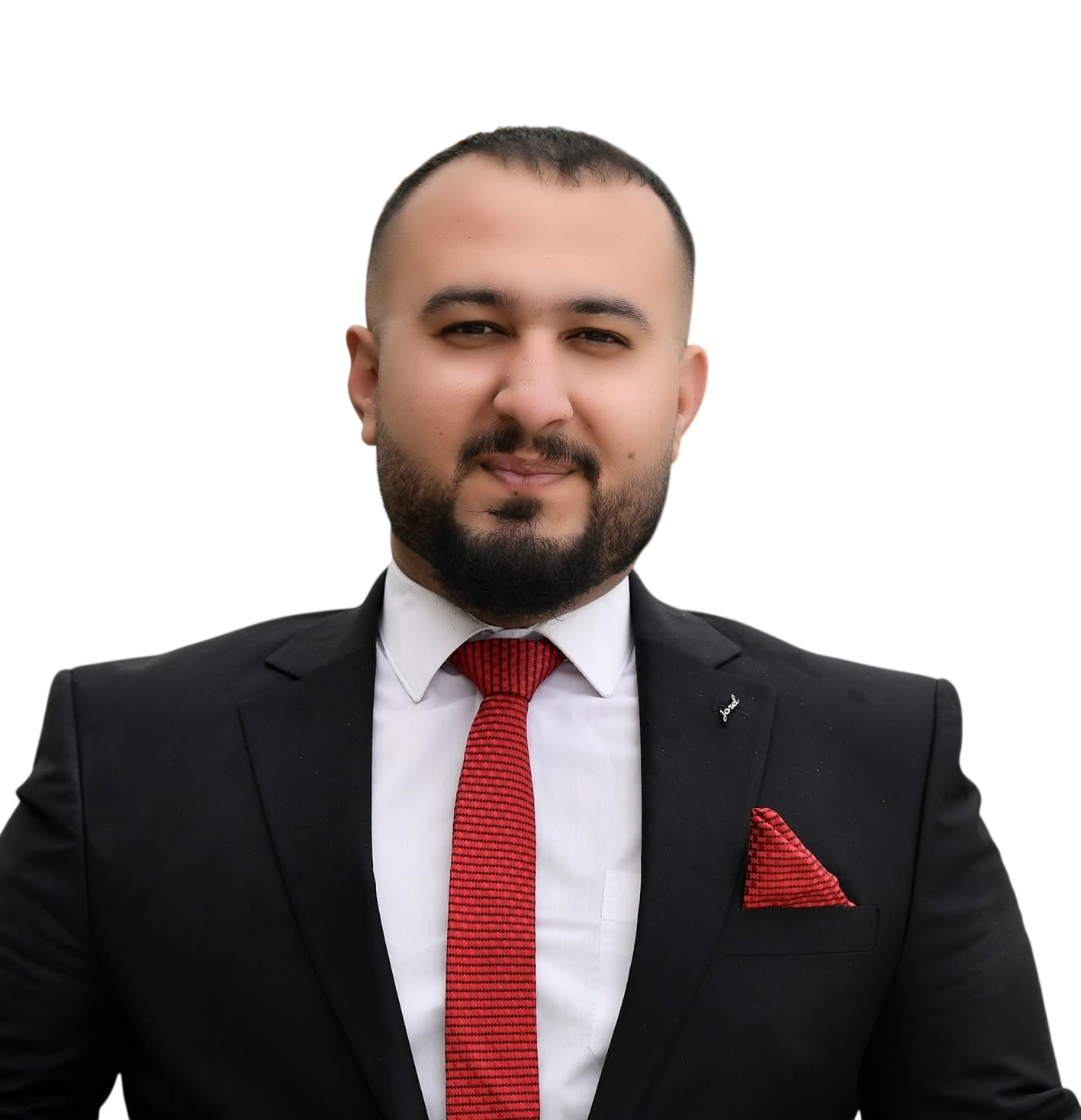 Hemin Sherko - Systems Architect professional profile